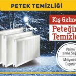 Alikahya Petek Temizleme