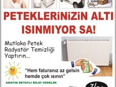 İzmit Petek Temizliği